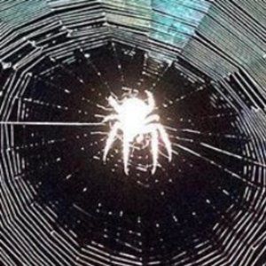 Meet your Posher, Jojo